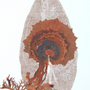 verkocht